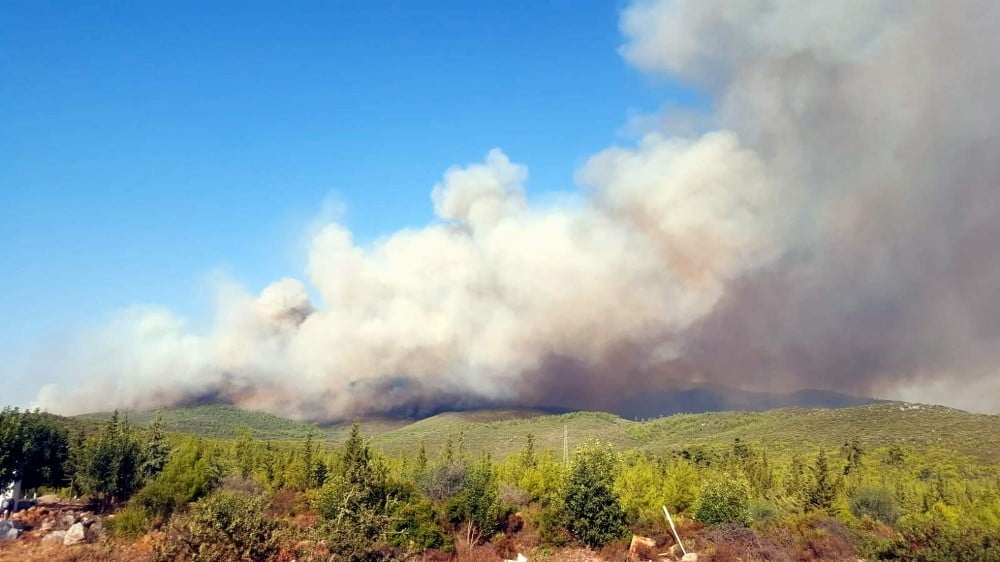 Muğla’daki orman yangınları devam ediyor 