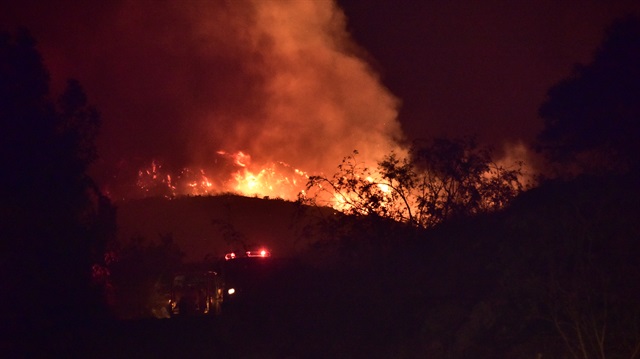 Muğla'daki yangın güçlükle kontrol altın alındı