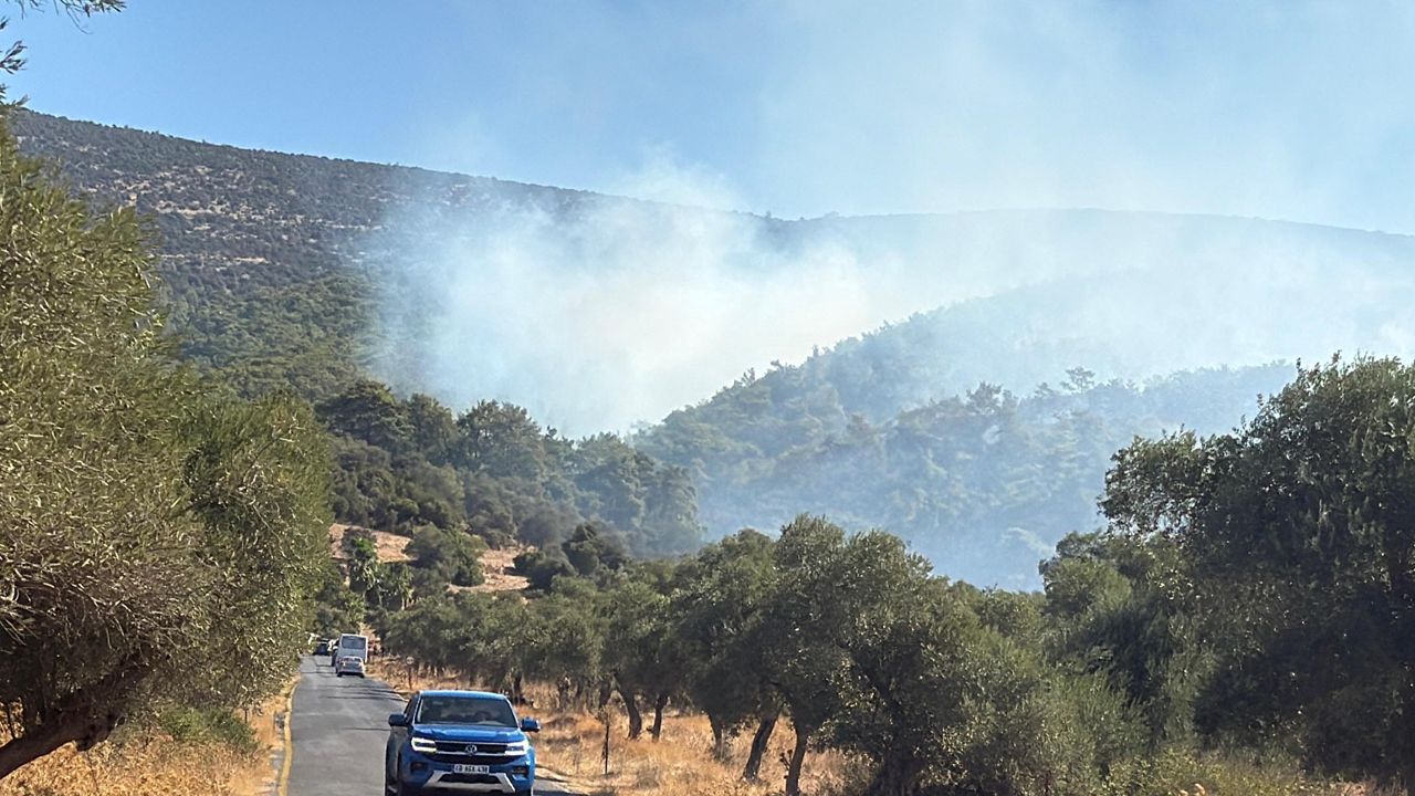 Muğla’daki yangından kötü haber