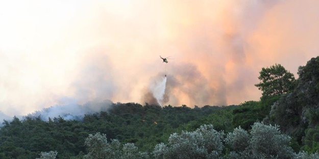 Muğla'dan sevindiren haber!
