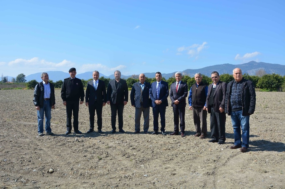 Muğlalı çiftçiye ’pikan cevizi’ desteği 