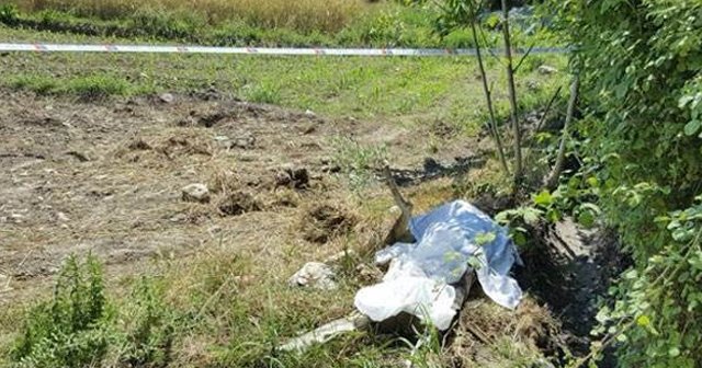 Muğla'nın Milas ilçesinde şüpheli ölüm