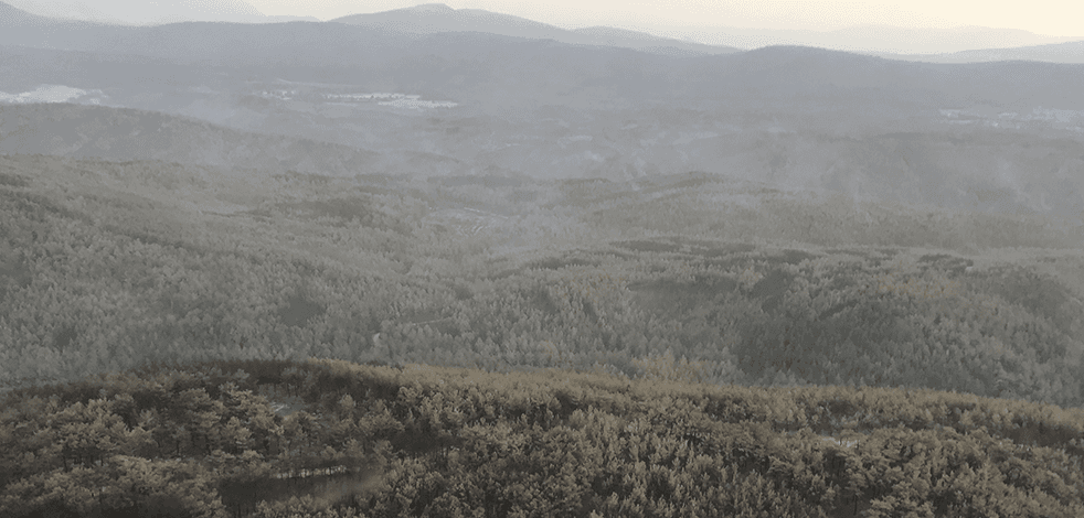 Muğla’nın Yatağan ilçesinde çıkan orman yangınına müdahale ediliyor