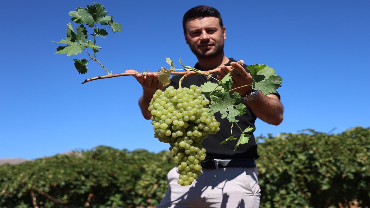 Mühendisliği bıraktı köye yerleşti! Şimdilerde 5 mühendis maaşı kazanıyor