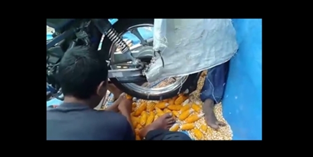 Muhteşem mısır ayıklama yöntemi - VIDEO