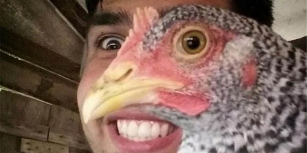 Muhteşem zamanlamayla çekilmiş fotoğraflar