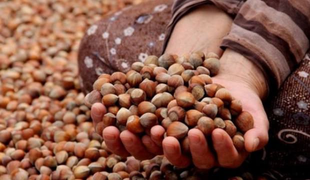 Müjde! Destek ücretleri hesaba yatacak