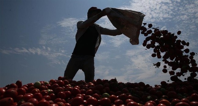 Müjde geldi! Bakanlıktan çok sayıda yeni istihdam