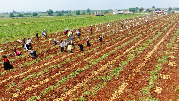 Müjde geldi! Fiyatlar tepetaklak düşecek