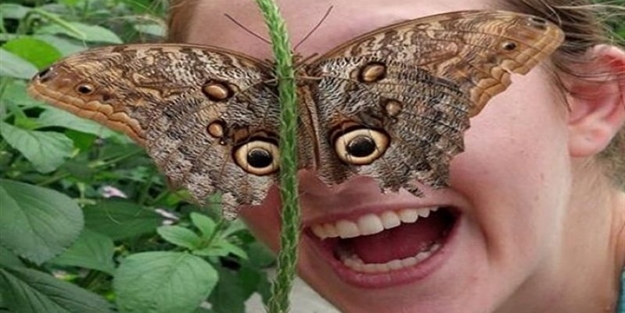 Mükemmel zamanlama ile çekilmiş harika fotoğraflar