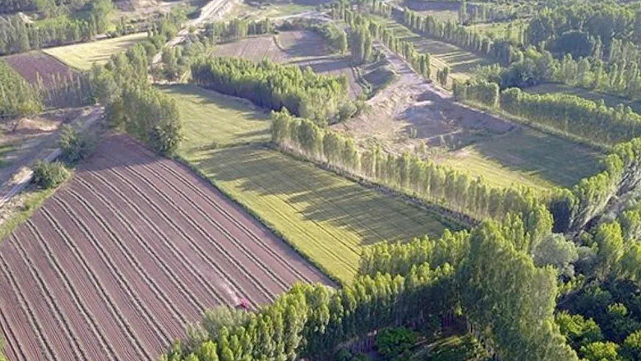 Mülkiyet bekleyen 5 milyon kişiye müjde! 2B arazilerinde tapu süreci başladı!