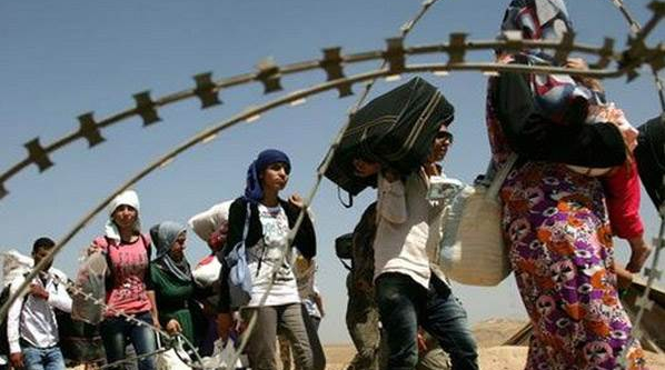 5 Afgan kaçak yakalandı