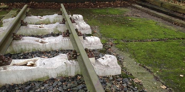 Mülteciler Nazi toplama kamplarına toplanıyor!