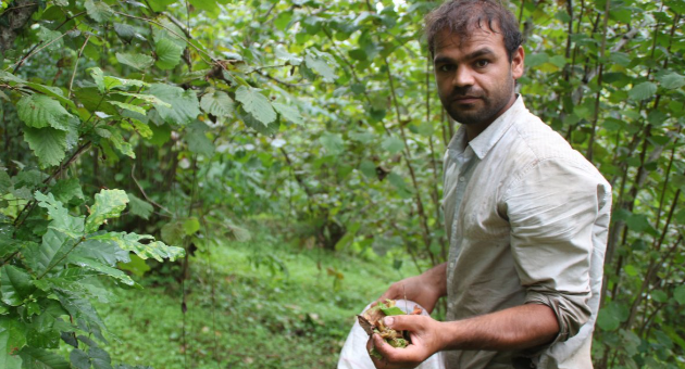 “Mülteciler ülkelerine gitsin” diyen soytarılar! Karılarınız mı gelip bahçemizdeki fındığı toplayacak?