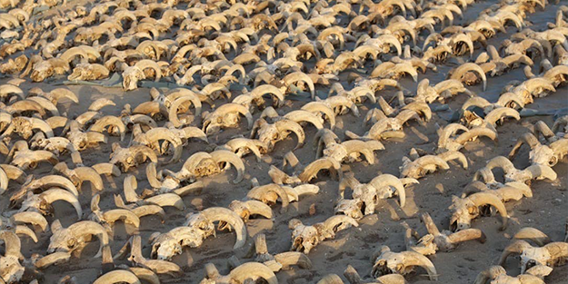 Mumyalanmış halde bulundular! Mısır'da ağızları açık bırakan keşif