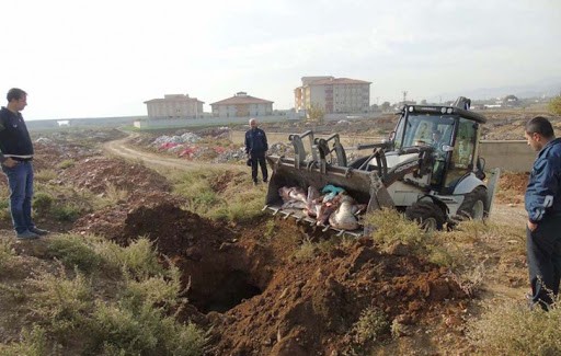 Mundar hayvanı satmak isterken yakalandı 