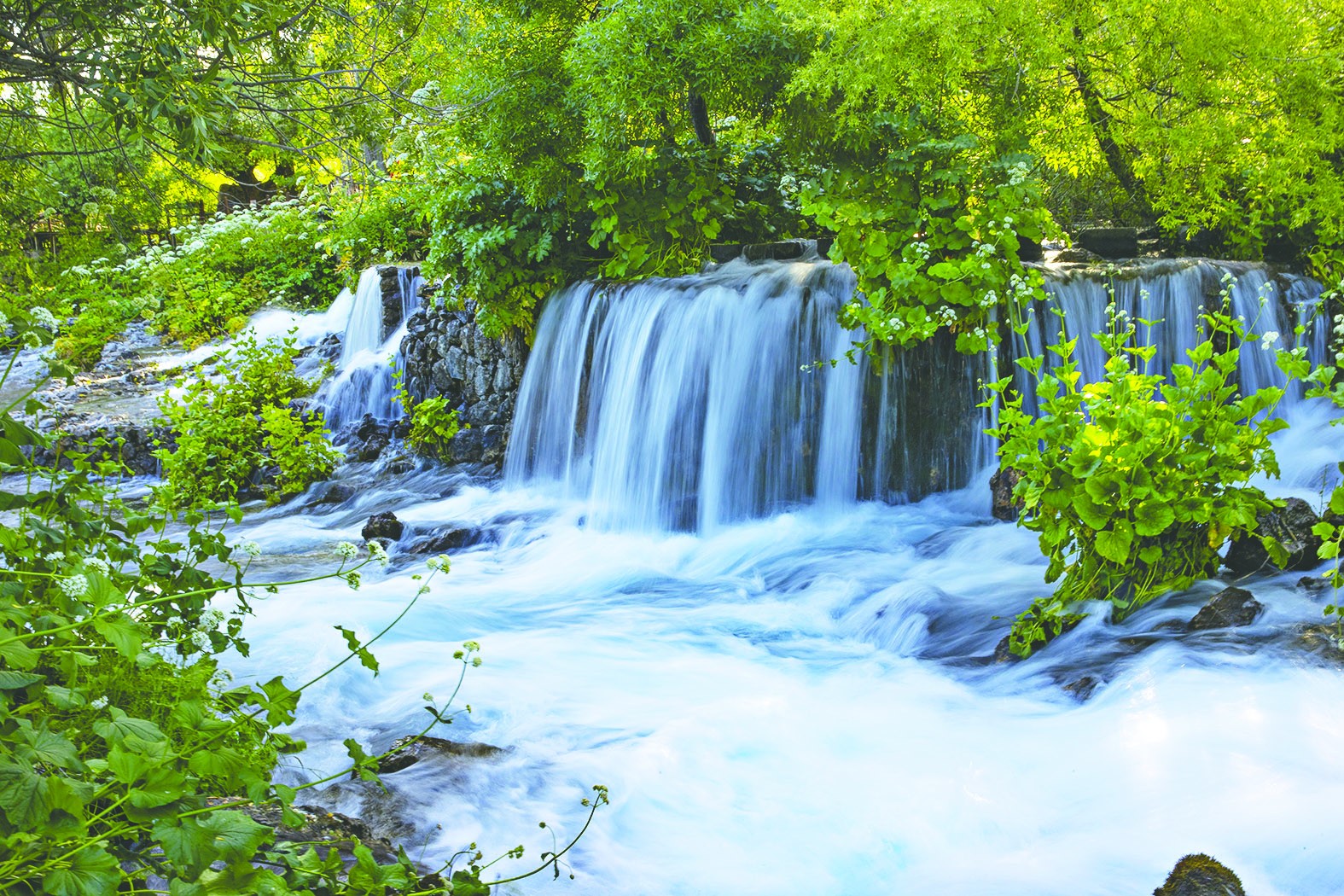 Munzur Gözeleri’nde turizm hareketliliği