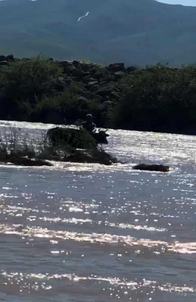 Murat Nehri’ne düşen inek itfaiye ekipleri tarafından kurtarıldı 