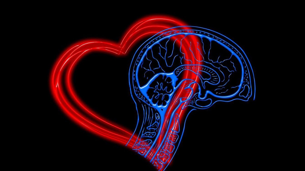 Murat Ülker: Üstün duygu kontrolü üstün zekayı dövüyor!