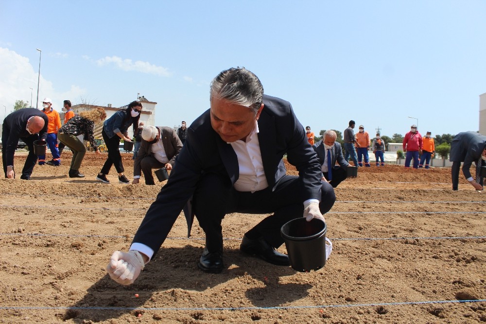 Muratpaşa Belediyesi, gıda krizi riskine karşı mısır ekimine başladı 