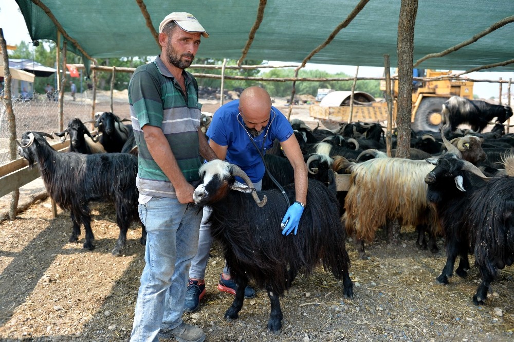 Muratpaşa’da bayran hazırlıkları tamamlandı 