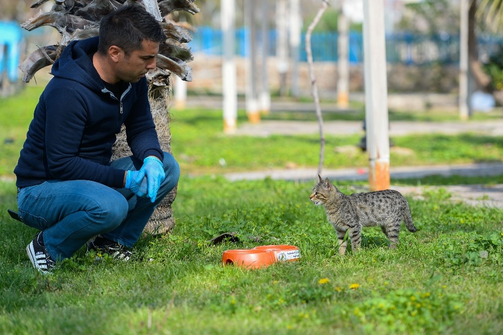 Muratpaşa’dan sokak hayvanlarına mama desteği 