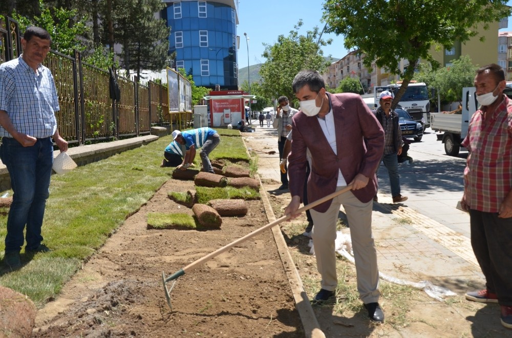 Muş Belediyesinden çiçek dikimi ve çimlendirme çalışması 