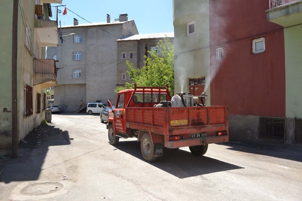 Muş Belediyesinden ilaçlama çalışması 