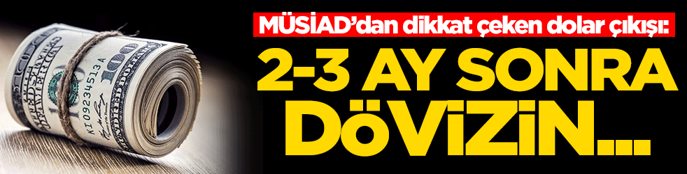 MÜSİAD’dan dikkat çeken dolar çıkışı: 2-3 ay sonra döviz...
