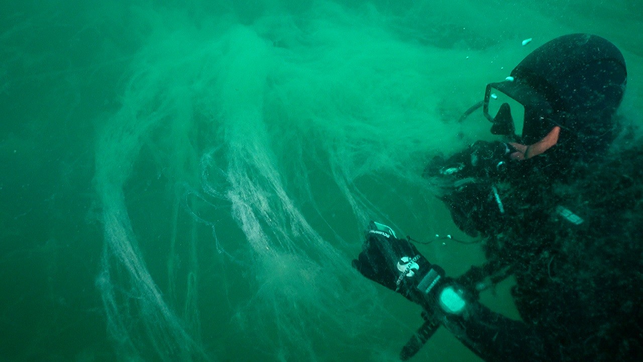 Müsilaj alarmı: Deniz yüzeyine 5 metre kadar yaklaştı