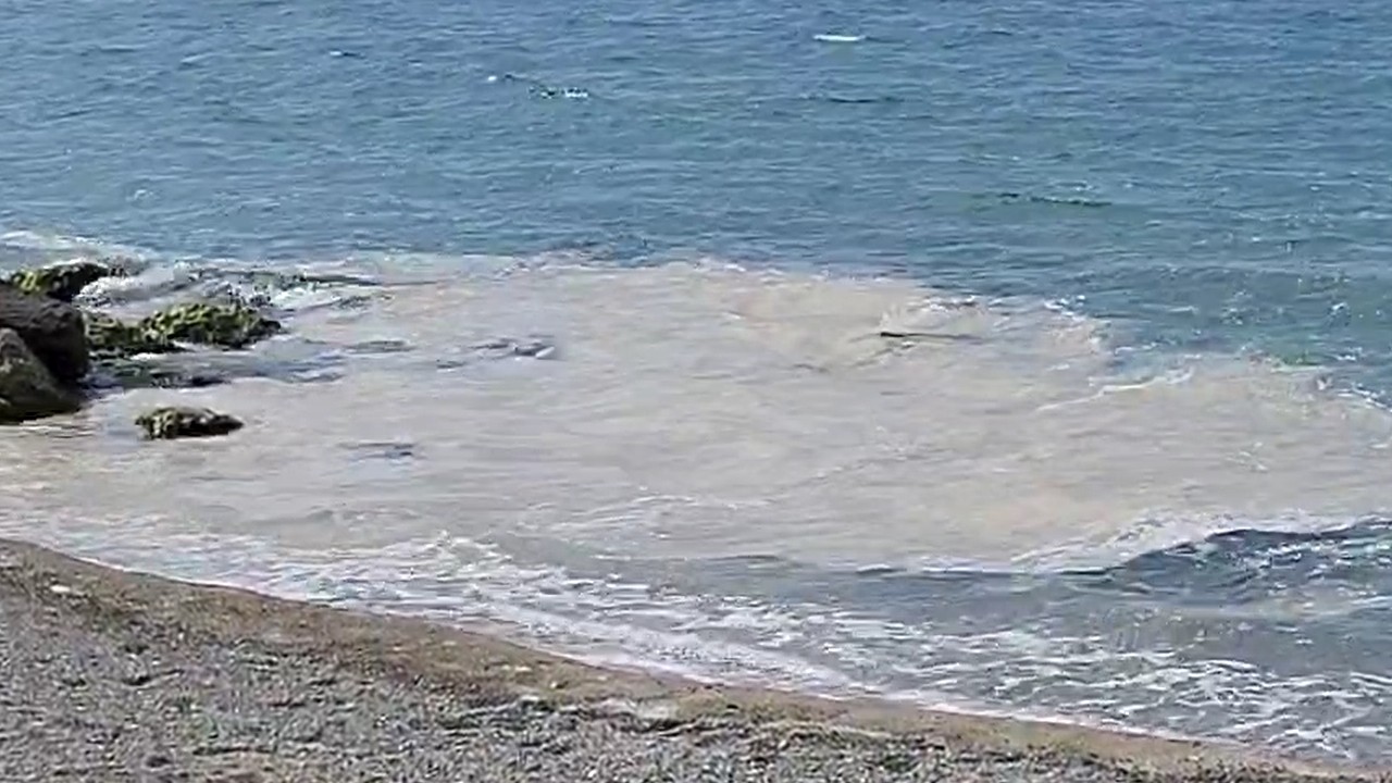 Müsilaj yeniden Marmara’da: Yalova kıyılarında görüldü