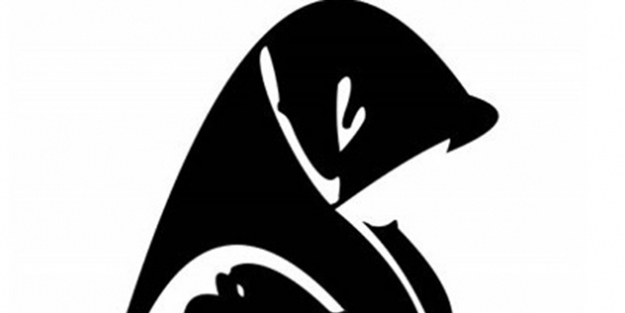 Müslüman kadın düşmanlığı