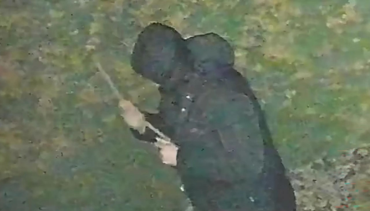 "Müslüman zannederek" Sih bir kadına tecavüz etmişti! Cezası belli oldu