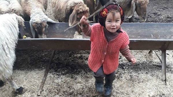 Müslüme neden öldü? Müsleme ölüm nedeni ne katil kim?