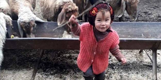 Müslüme’yi kim öldürdü? Müslüme’nin katili kim? Müslüme soruşturması bitti mi?