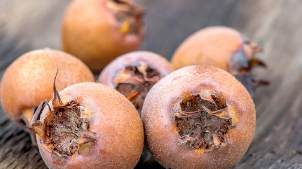 Muşmula çayının mucizesi: Muşmula çayının faydaları say say bitmiyor!