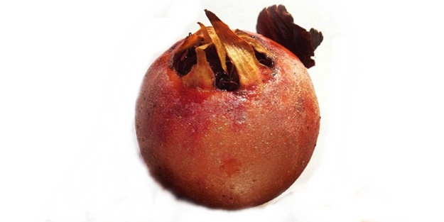 Muşmula çayıyla yağlarınızı yakıp kilo verin