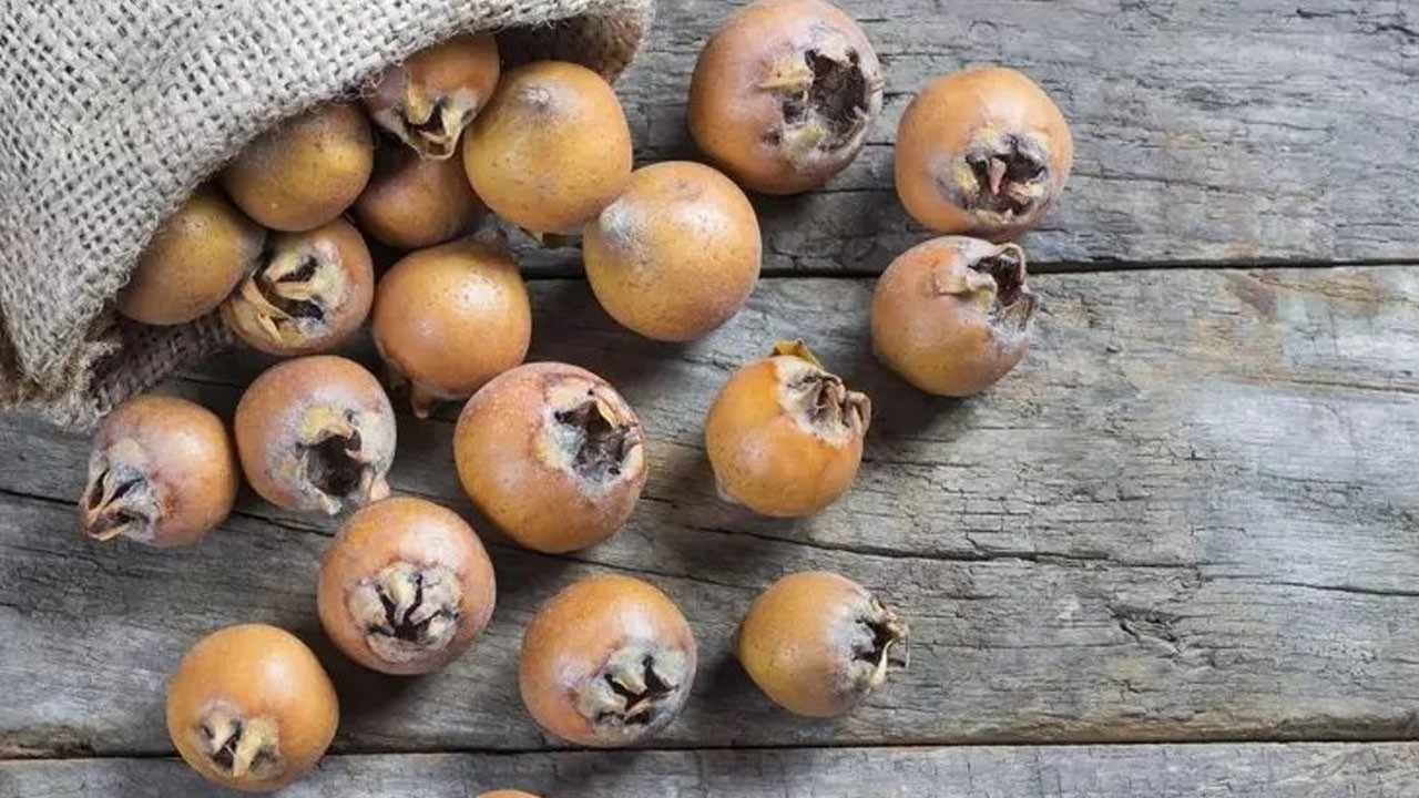 Muşmulanın sağlığa faydaları, neye iyi gelir? İlgili merak edilenler