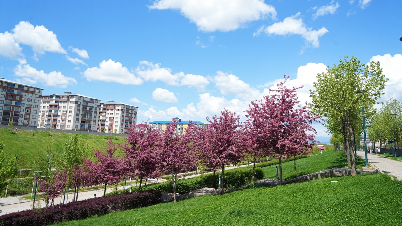 Muş'ta bahar çiçek açtı, doğa kartpostallık görünüme büründü