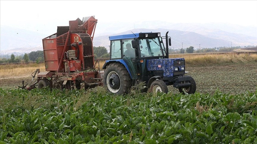 Muş’ta bu yıl 40 bin 500 ton şeker üretimi hedefleniyor