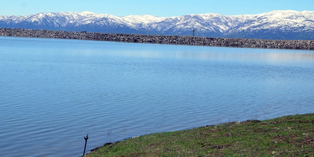 Muş’ta göletler yüzde 100 doldu