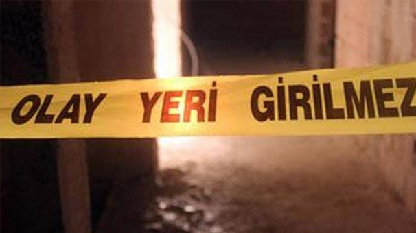 Varto'da kardeşini öldürdü! Nedeni ise...