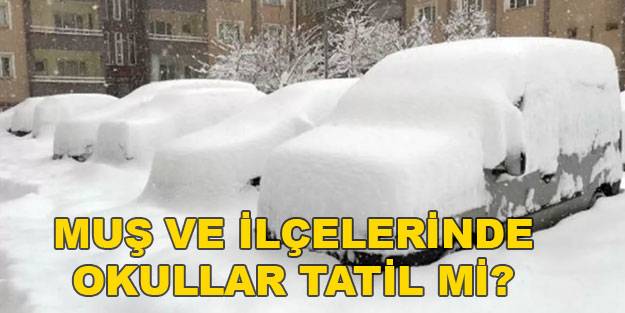 Muş’ta okullar tatil mi? 21 Aralık Salı Muş’ta okullar tatil mi? Yarın Muş’ta okul var mı?