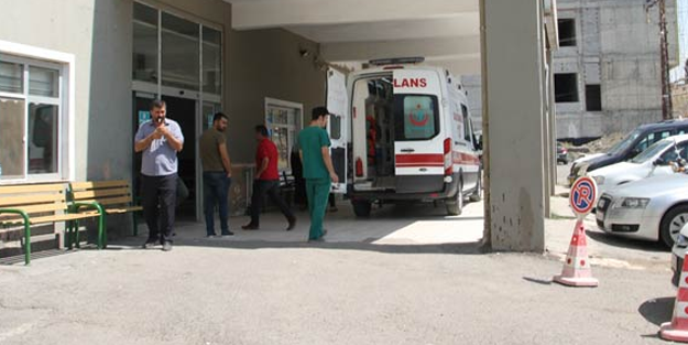Muş'ta vahşet! 7 çocuk annesi eşini döverek öldürdü
