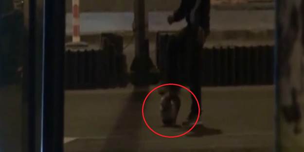 Mustafa Kemal büstünün kafasını koparıp top oynadılar