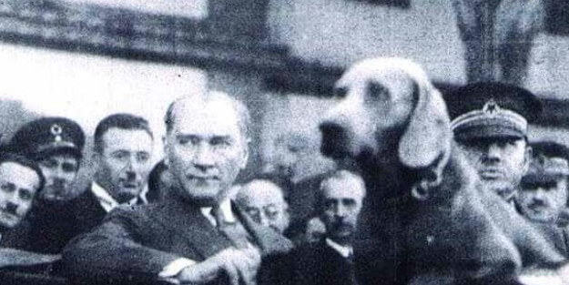 Mustafa Kemal sokak köpeği sorununu böyle çözmüş! 'Hepsini oracıkta...'