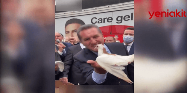 Mustafa Sarıgül'e 'güvercin' tepkisi!