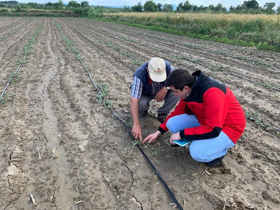 Mustafakemalpaşa’da çiftçiye destek hız kazandı 