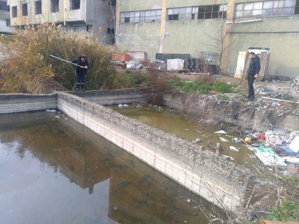 Mustafakemalpaşa’da haşereyle mücadele sürüyor 