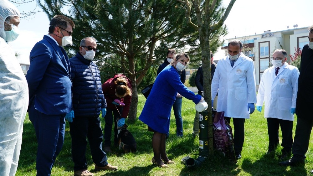Mustafakemalpaşa’da sokak hayvanlarına tam destek 